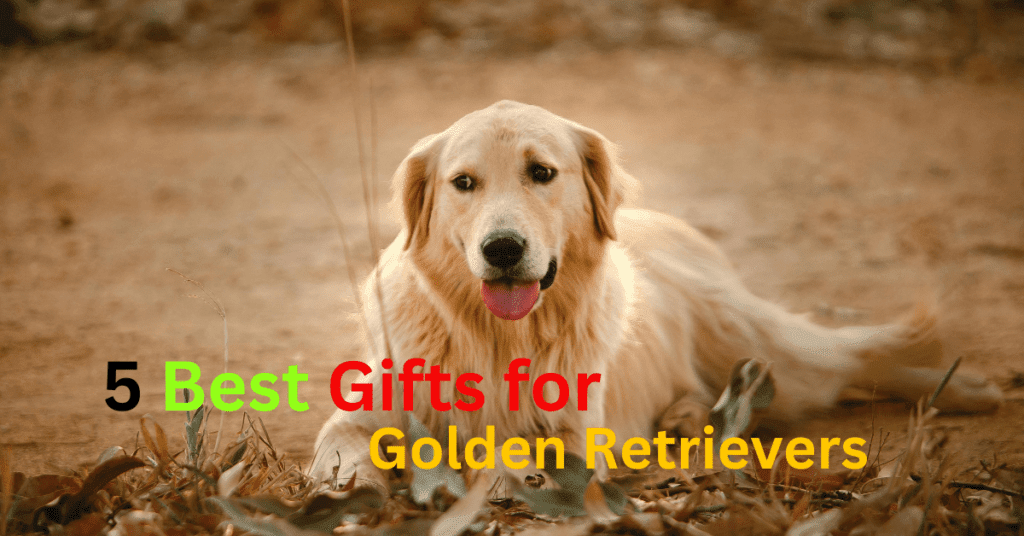 5 Best Gifts for, Gifts for Golden Retrievers- itsgoldenretriever.com