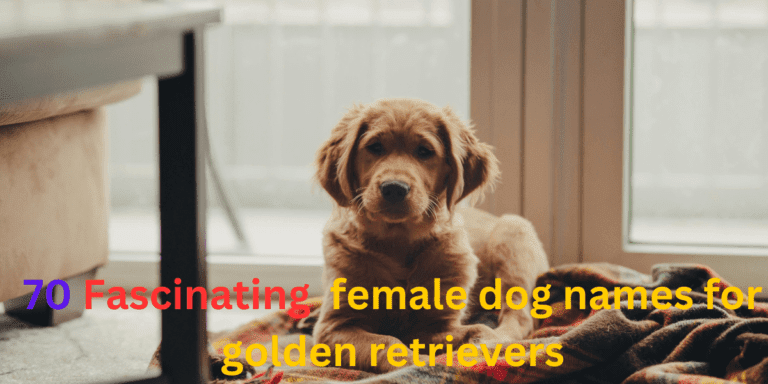 female Golden Retriever names , itsgoldenretriever.com