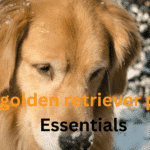 Basic Red Golden Retriever Puppy Essentials 2024| itsgoldenretriever.com