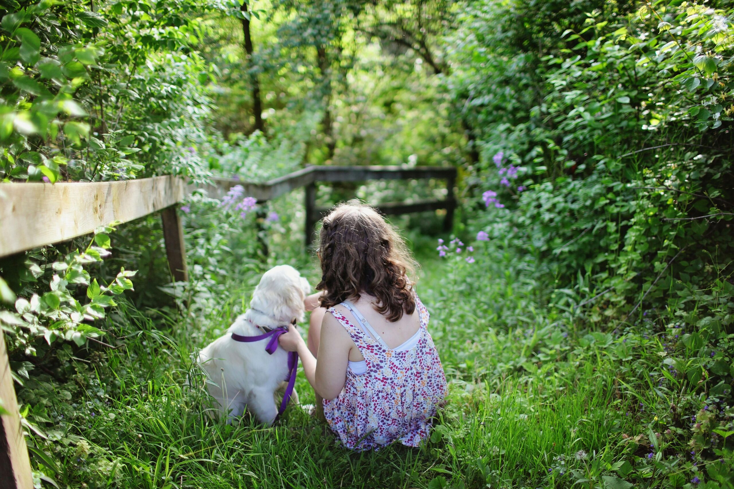 Best female dog names for golden retrievers