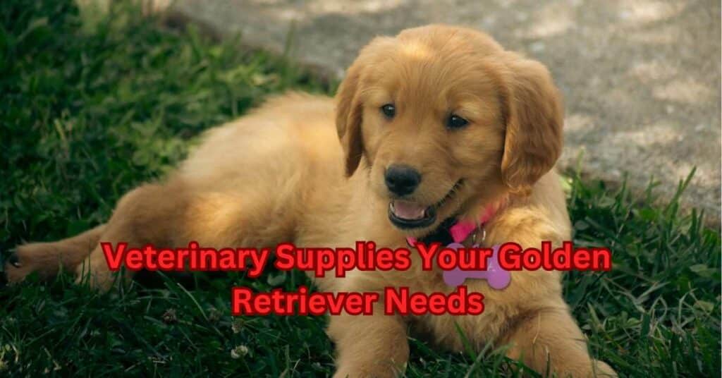 Veterinary Supplies Your Golden Retriever Needs
itsgoldenretriever.com