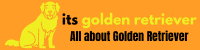 itsgoldenretriever.com