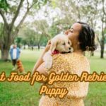 Best Food for Golden Retriever Puppy