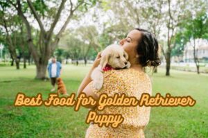 Best Food for Golden Retriever Puppy