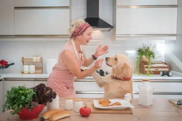 Golden Retriever Food Recommendations You Can’t Miss! 2024