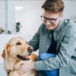 Secret Vet Products That Help Golden Retrievers Live Longer